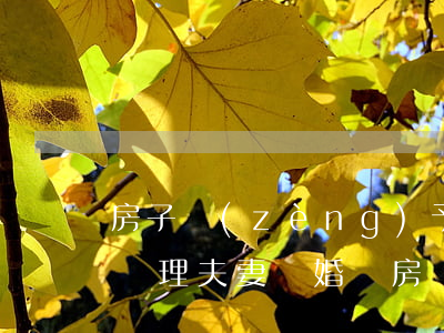 房子贈(zèng)予未成年女兒離婚怎么處理(夫妻離婚將房產(chǎn)贈(zèng)與未成年孩子)