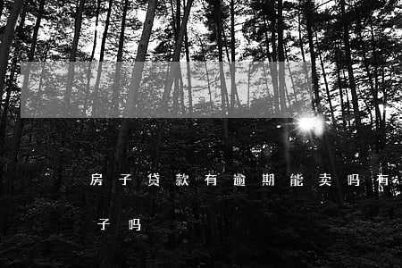 房子贷款有逾期能卖吗(有贷款逾期影响卖房子吗)