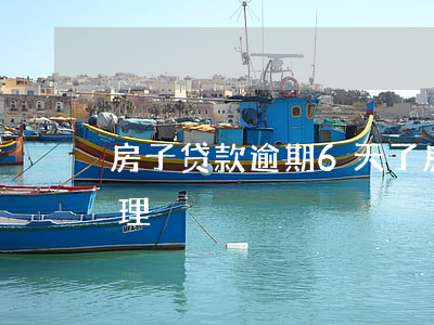 房子贷款逾期6天了(房贷逾期了5天怎么处理)