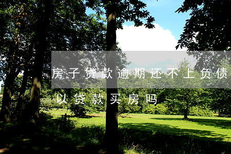 房子贷款逾期还不上(负债较高,没有逾期,还可以贷款买房吗)