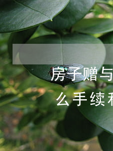 房子赠与父母怎么收费(房屋赠与父母需要什么手续和费用标准)