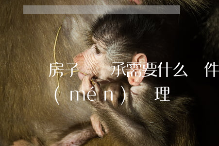 房子辦繼承需要什么條件(房屋繼承去哪部門(mén)辦理?)