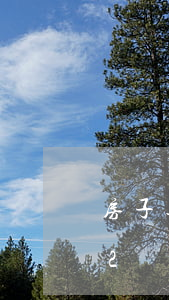 房子逾期2年退房規(guī)定(房子還有2個月到期能退嗎)