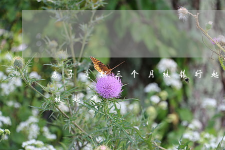 房子逾期三个月被银行起诉(房贷逾期三个月被起诉)