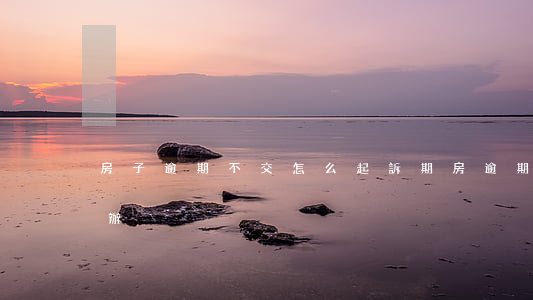 房子逾期不交怎么起訴(期房逾期不交房怎么辦)