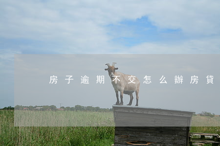 房子逾期不交怎么辦 房貸逾期沒交怎么辦