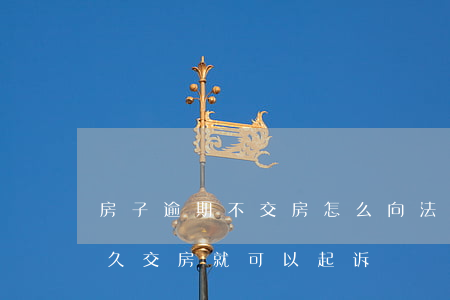 房子逾期不交房怎么向法院起诉(房子逾期多久交房就可以起诉)