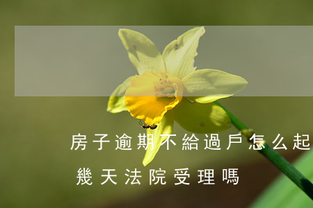 房子逾期不給過戶怎么起訴-房子過戶逾期幾天,法院受理嗎