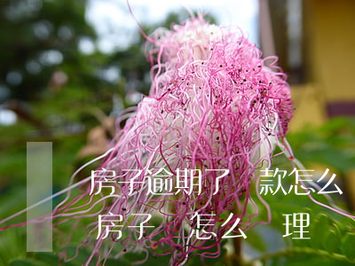 房子逾期了還款怎么處理(房貸逾期還不了,這房子會怎么處理)