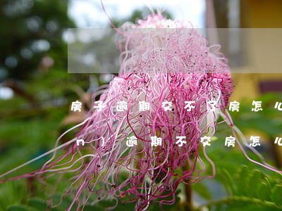 房子逾期交不了房怎么辦-房地產(chǎn)逾期不交房怎么處理