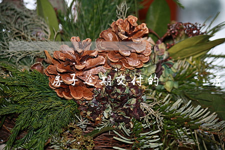房子逾期交付的賠償-房子逾期交付違約金賠償