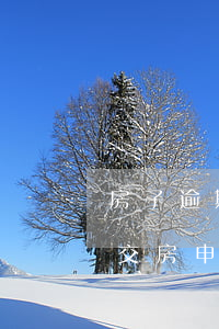 房子逾期交房房主要求退款的法律(房子逾期交房申請退款)
