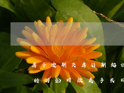 房子逾期交房日期起诉流程及费用(逾期交房的诉讼时效是多长时间)