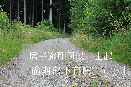 房子逾期可以線上起訴嗎(網(wǎng)貸逾期名下有房產(chǎn)起訴后會(huì)怎么樣)