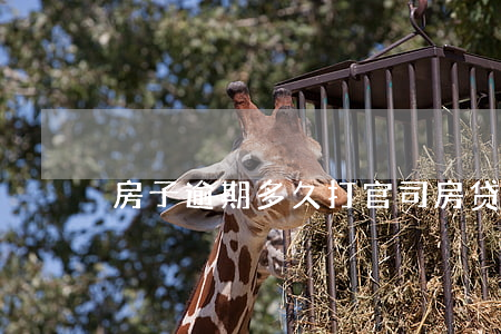 房子逾期多久打官司(房贷逾期多久会被起诉)