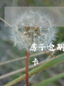 房子逾期怎么辦理信用卡(有逾期如何辦信用卡)