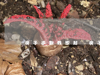房子逾期我想起訴(房子按揭逾期,法院起訴了)