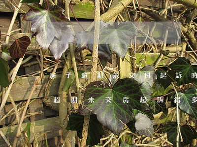 房子逾期未交付起訴時(shí)間-房子超期未交房起訴得多久