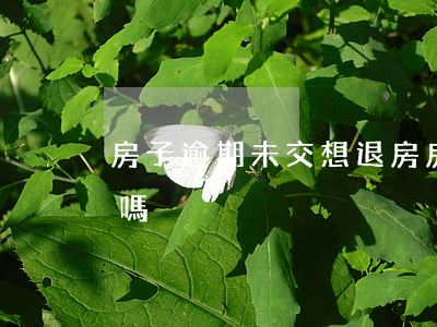 房子逾期未交想退房(房子逾期沒交房可以退嗎)