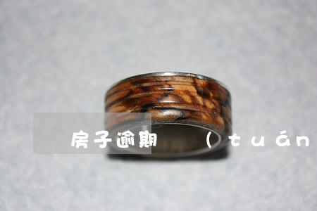 房子逾期組團(tuán)打官司好嗎