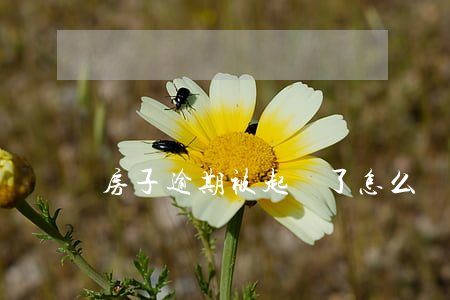 房子逾期被起訴了怎么辦 房貸逾期被告怎么辦
