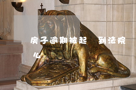 房子逾期被起訴到法院應(yīng)該怎么說