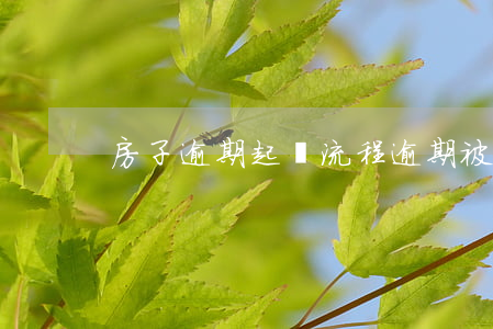 房子逾期起訴流程 逾期被起訴的流程