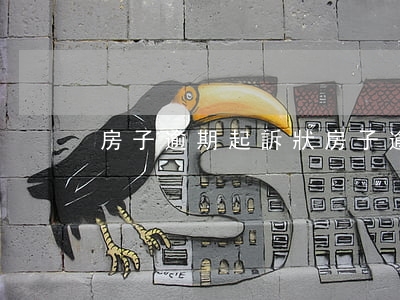 房子逾期起訴狀(房子逾期怎么起訴)