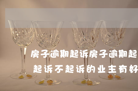 房子逾期起诉(房子逾期起诉开发商有的业主起诉不起诉的业主有好处吗)