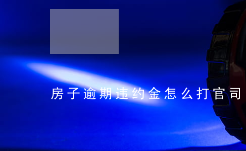 房子逾期违约金怎么打官司