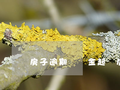 房子逾期違約金起訴（房子逾期違約金起訴）