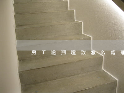 房子逾期還款怎么處理(住房還款逾期怎么辦)