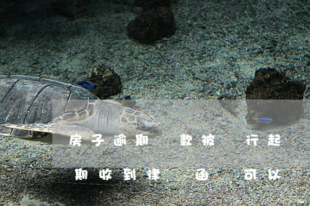 房子逾期還款被銀行起訴收到律師函（房貸逾期收到律師函還可以協(xié)商嗎）