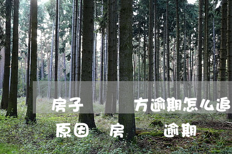 房子過戶買方逾期怎么追責(zé)(因買家原因買房過戶逾期)
