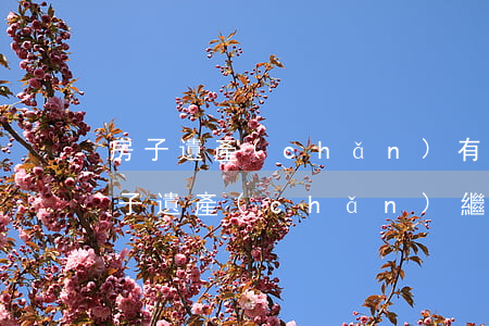 房子遺產(chǎn)有爭議怎么繼承(老房子遺產(chǎn)繼承法)