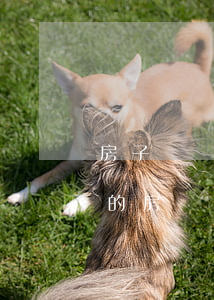 房子遺產(chǎn)繼承后可以賣嗎(繼承的房產(chǎn)可以直接賣嗎)
