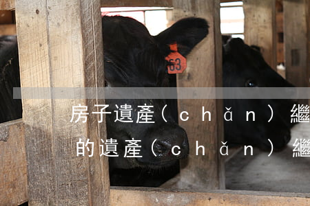 房子遺產(chǎn)繼承要交多少錢(房子的遺產(chǎn)繼承稅是多少錢)