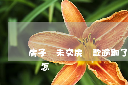 房子還未交房貸款逾期了(房子逾期不交房貸會怎樣)