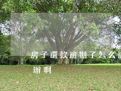 房子還款逾期了怎么辦(房子貸款逾期了,怎么辦啊)