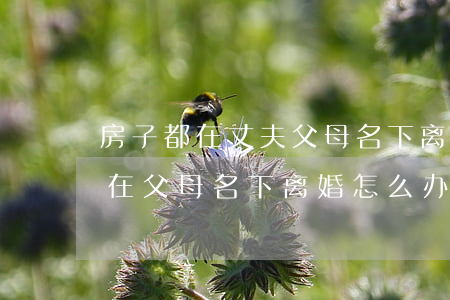 房子都在丈夫父母名下离婚怎么判(男方房子在父母名下离婚怎么办)