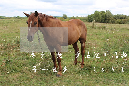 房子鑰匙沒拿法院可以拍賣嗎(法院拍賣的房子一般多長時(shí)間能拿到鑰匙)