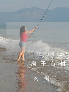 房子首付分期還款逾期(房貸首付分期逾期怎么辦)