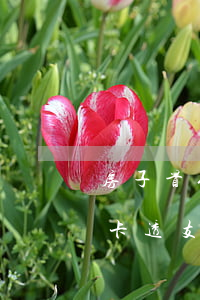 房子首付能用信用卡透支嗎(買房子能用信用卡透支嗎)