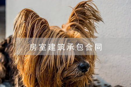 房室建筑承包合同