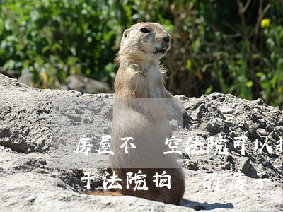 房屋不騰空法院可以拍賣嗎(關(guān)于法院拍賣的房子騰房規(guī)定)