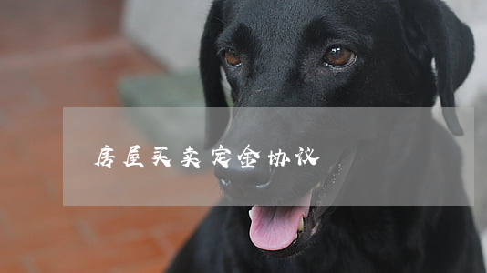 房屋买卖定金协议