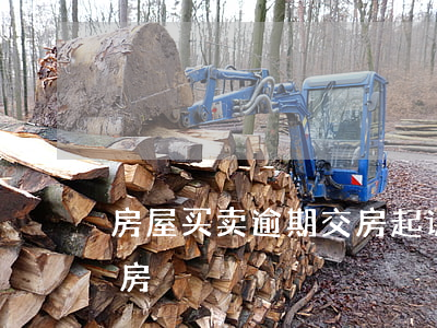 房屋买卖逾期交房起诉(房屋买卖合同逾期交房)