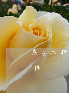 房屋二押逾期会怎么样（房屋二押逾期会怎么样）