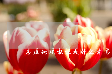 房屋他项权证是什么意思（房屋他项权证办理）