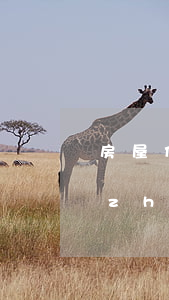 房屋份額確定可以強(qiáng)制執(zhí)行嗎(只有一套房產(chǎn)可以強(qiáng)制執(zhí)行嗎)